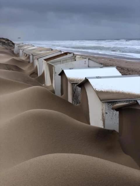 B&B Huize Van Damme Nieuwpoort Exteriör bild